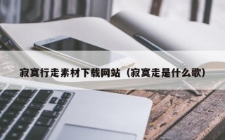 鹤壁寂寞行走素材下载网站（寂寞走是什么歌）